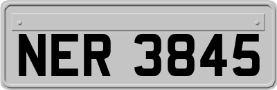 NER3845