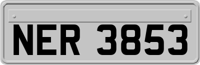 NER3853