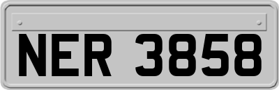 NER3858