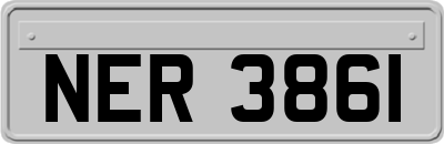 NER3861