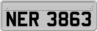 NER3863