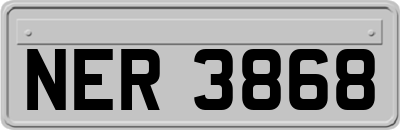 NER3868