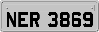 NER3869