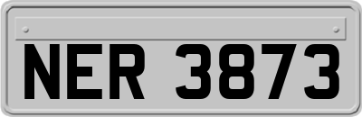 NER3873