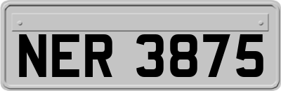 NER3875