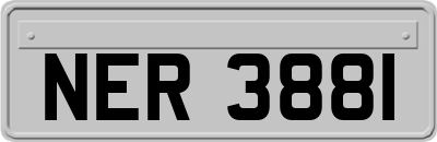 NER3881