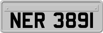 NER3891