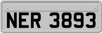 NER3893