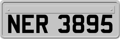 NER3895