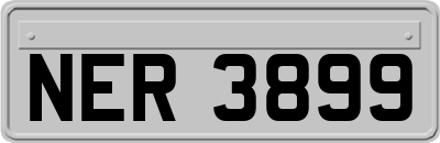 NER3899