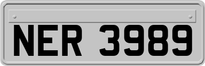 NER3989