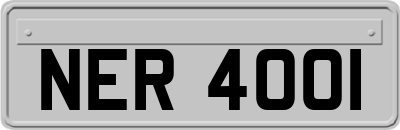 NER4001