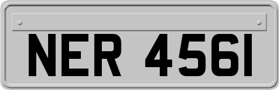 NER4561