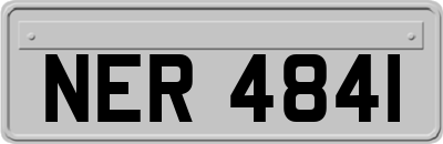 NER4841