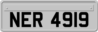 NER4919