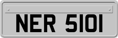 NER5101