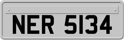 NER5134