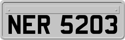 NER5203