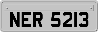 NER5213