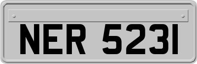 NER5231