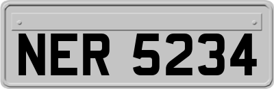 NER5234