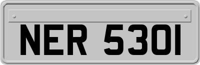 NER5301