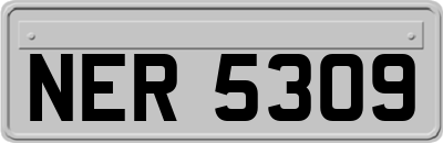 NER5309