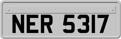 NER5317