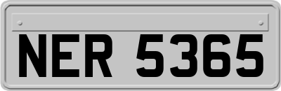 NER5365