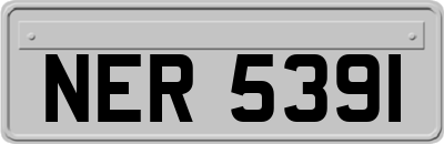 NER5391