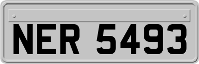 NER5493