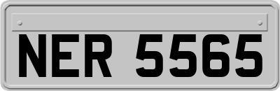 NER5565