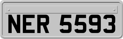 NER5593