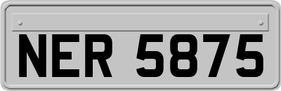 NER5875