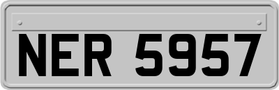 NER5957