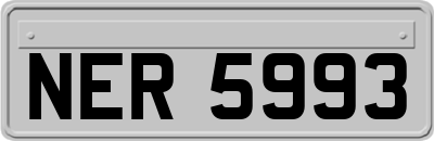 NER5993