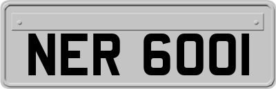 NER6001