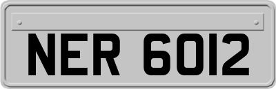 NER6012