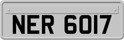 NER6017