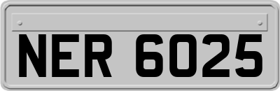 NER6025