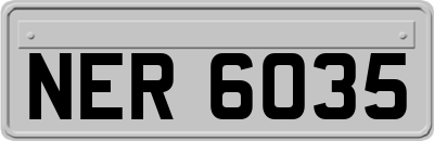 NER6035