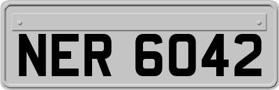 NER6042