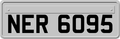 NER6095