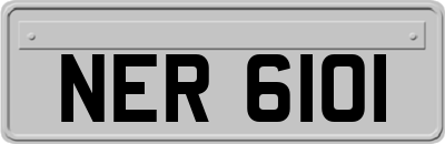 NER6101