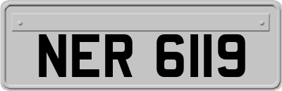 NER6119