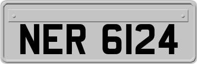 NER6124