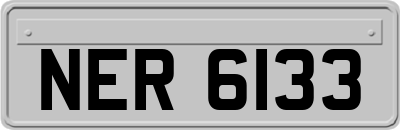 NER6133