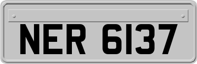 NER6137