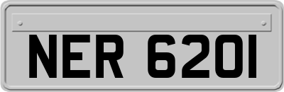 NER6201