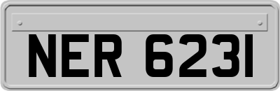 NER6231